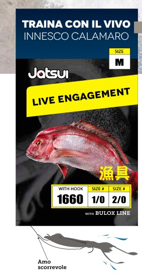Amo x innesco Vivo Big Tuna DAIICHI By Zambo Fishing Circle 12/0 Amo x innesco Vivo Big Tuna DAIICHI By Zambo Fishing Circle 12/0